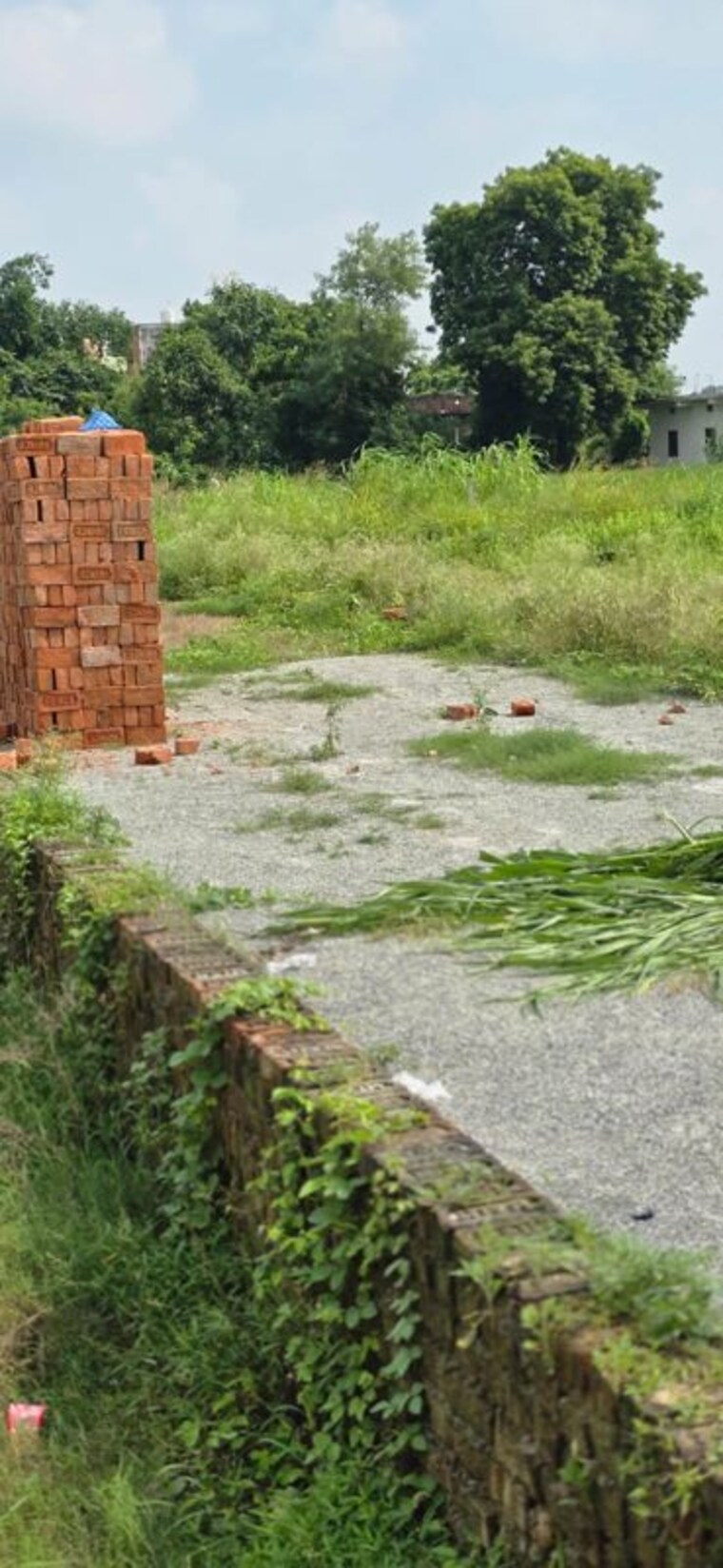 Garden, banaras hindu university  1000 Sq.Ft. Plot In Banaras Hindu University Varanasi 10706914
