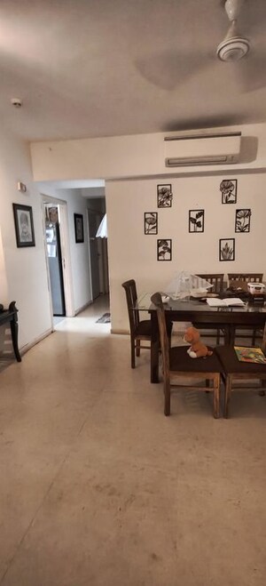 Team Area in 3 BHK Builder Floor at Sector 23 – for Rent