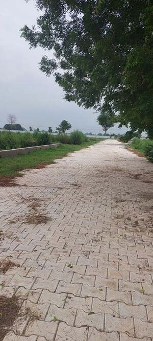 Plot Area in  Plot at Vinayak Nagar – for Sale