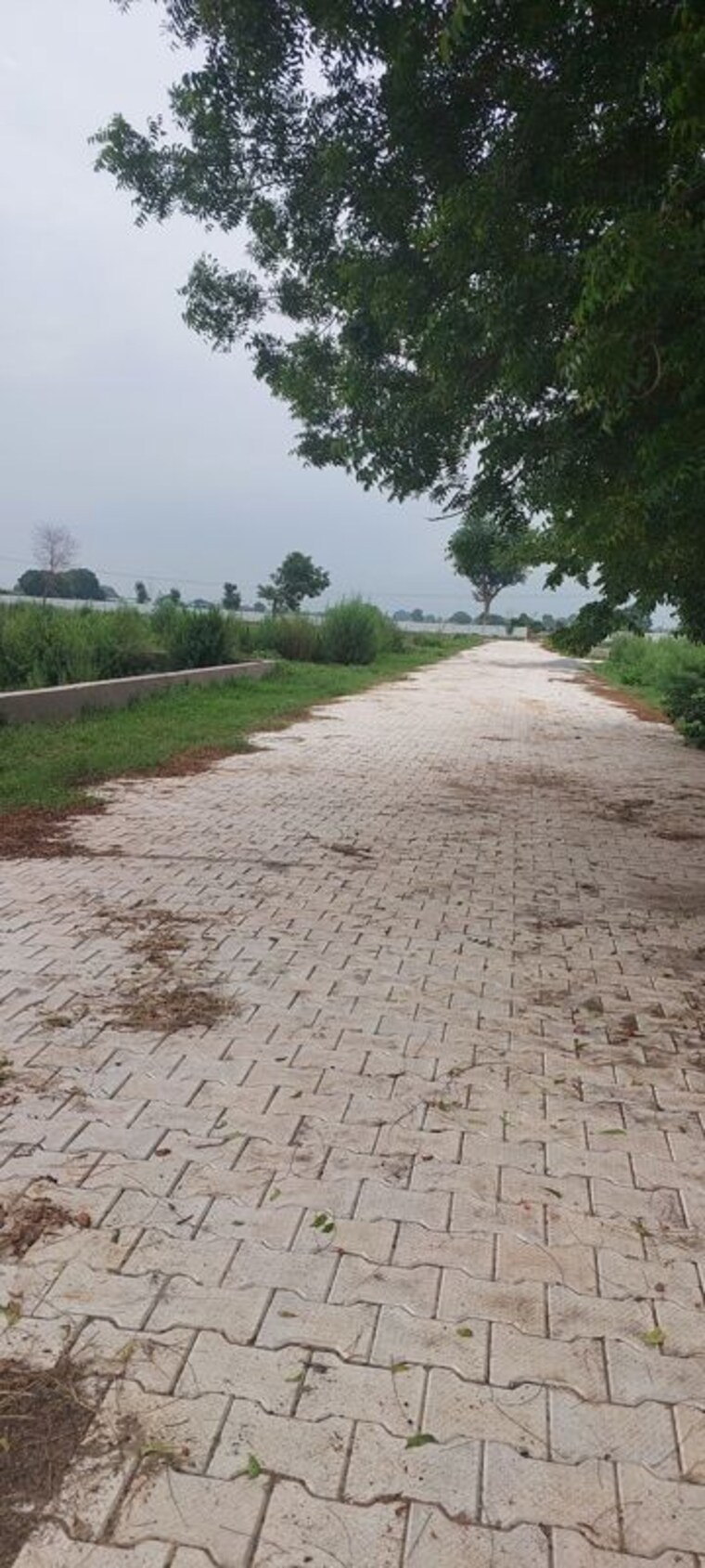 undefined, vinayak nagar  150 Sq.Yd. Plot In Vinayak Nagar Agra 10705219