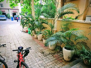 4 BHK Apartment – Exterior View View at Emaar MGF Emerald Hills, Sector 65 - for Rent