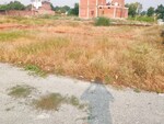 800 Sq.Ft. Plot in Sikraul