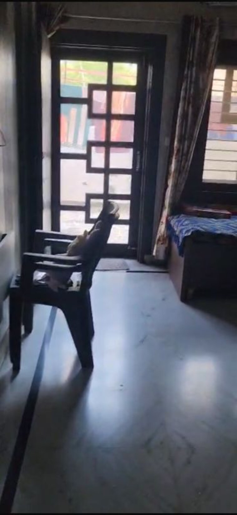Gym, sector 75 3 Bedroom 272 Sq.Yd. Builder Floor In Sector 75 Faridabad 10707201