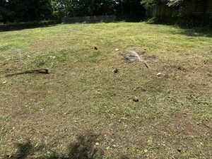 Plot Area in  Plot at Kuriachira – for Sale