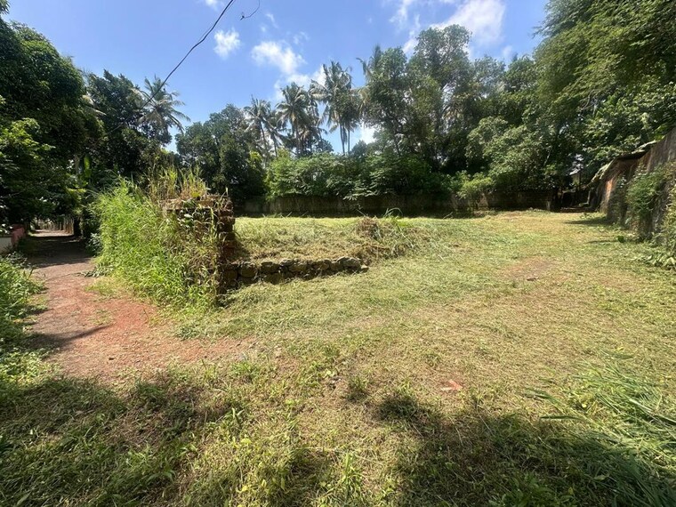 undefined, kuriachira  9583 Sq.Ft. Plot In Kuriachira Thrissur 10707289