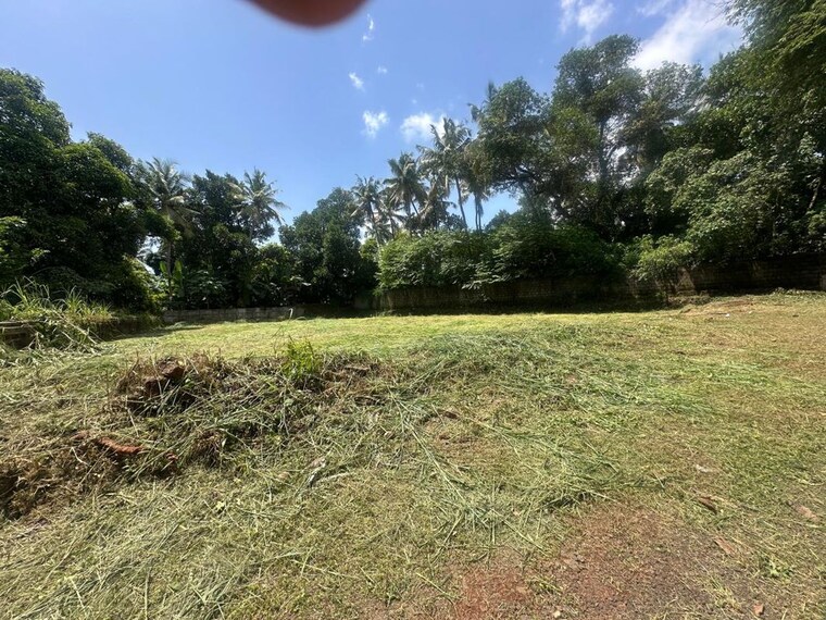 Garden, kuriachira  9583 Sq.Ft. Plot In Kuriachira Thrissur 10707289