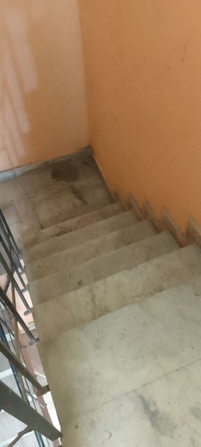 undefined, spring-field 3.5 Bedroom 250 Sq.Yd. Builder Floor In Sector 31 Faridabad 10707376