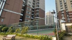 3 BHK +Apartment For Sale in Ambika Florence Park