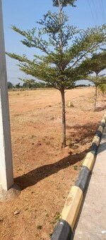 258 Sq.Yd. Plot in Fortune Butterfly City