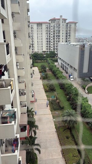 3.5 BHK Apartment For Rent in Emaar Emerald Estate, Sector 65