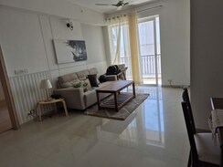 3 BHK +Builder Floor For Rent in Sector 21