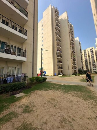 3 BHK Apartment For Rent in GLS Crown Avenue in Sector 92, Gurgaon