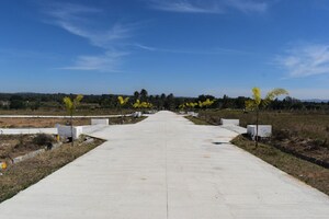 Plot Area in  Plot at Bangarapet – for Sale
