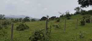 Plot Area in  Plot at Igatpuri – for Sale