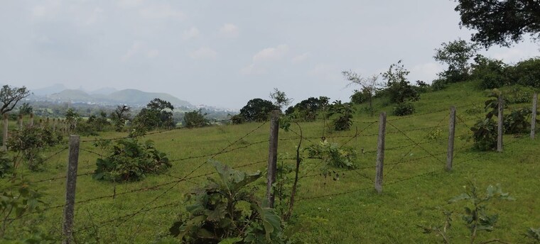 undefined, igatpuri  6 Acre Plot In Igatpuri Nashik 10707683