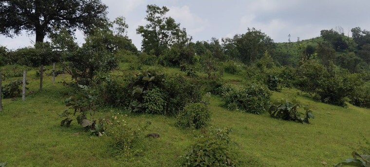 Garden, igatpuri  6 Acre Plot In Igatpuri Nashik 10707683