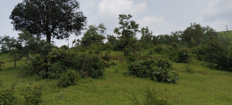 Garden, igatpuri  6 Acre Plot In Igatpuri Nashik 10707683