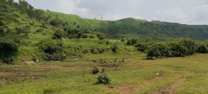 Plot Area in  Plot at Igatpuri – for Sale