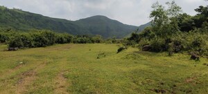 Plot Area in  Plot at Igatpuri – for Sale