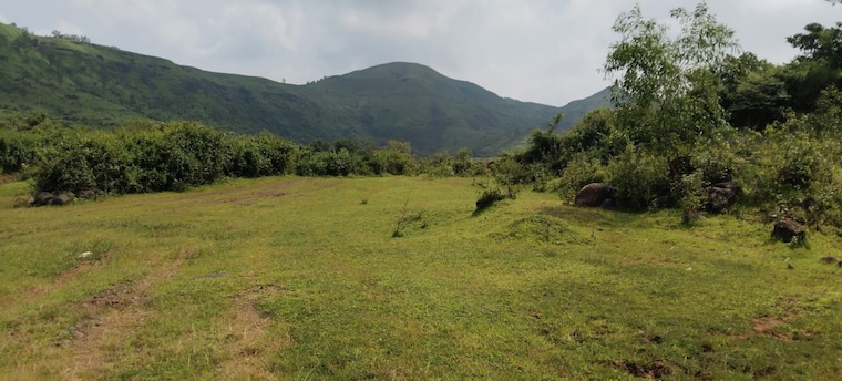 undefined, igatpuri  1 Acre Plot In Igatpuri Nashik 10707722