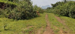 Plot Area in  Plot at Igatpuri – for Sale