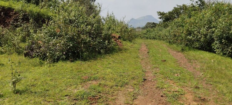 undefined, igatpuri  1 Acre Plot In Igatpuri Nashik 10707722
