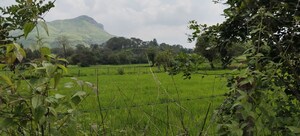 Plot Area in  Plot at Igatpuri – for Sale