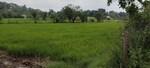 2 Acre Plot in Igatpuri