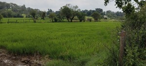  Plot For Sale in Igatpuri