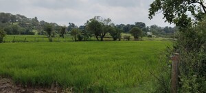 Plot Area in  Plot at Igatpuri – for Sale