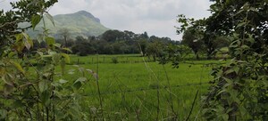 Plot Area in  Plot at Igatpuri – for Sale