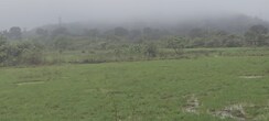 Plot For Sale in Igatpuri
