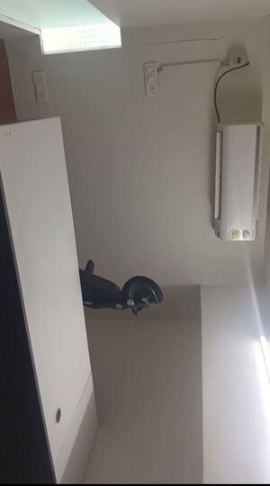 Furnished Amenities in  Office Space at Sola – for Rent