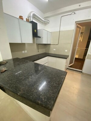 Kitchen in 4 BHK Builder Floor at Sector 23a – for Rent