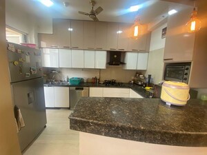 Kitchen in 4 BHK Builder Floor at Sector 23 – for Rent