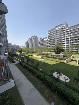 3 BHK Apartment For Rent in Ireo City IF, Sector 60