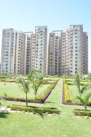3 BHK Apartment – Garden View at Motiaz Royal Citi, Ambala Highway - for Rent