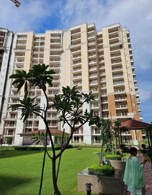 3 BHK Apartment – Exterior View View at Ambika Florence Park, North Mullanpur - for Sale