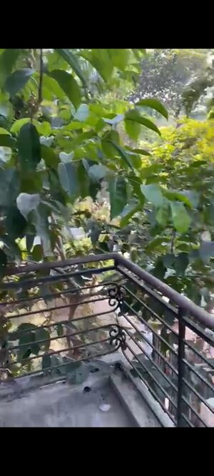 4 BHK Independent House – Garden View at Sector 30 - for Rent