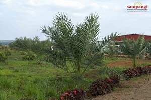  Land For Sale in Lakdi Ka Pul