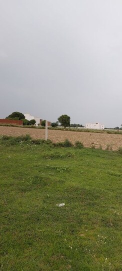 Plot For Sale in Dhanauli