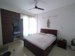 3 BHK Apartment For Rent in Tulip White