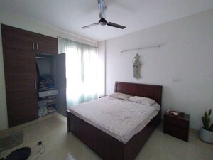 3 BHK Apartment For Rent in Tulip White, Sector 69
