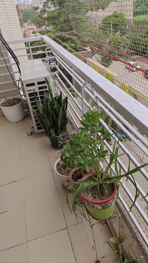 Balcony in 3 BHK Apartment at Tulip White, Sector 69 – for Rent