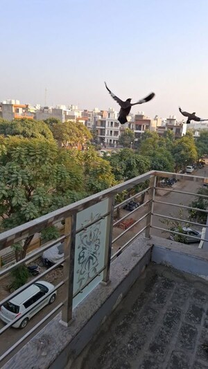 Balcony in  Pg at Vineet Khand – for Rent