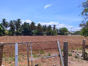  Industrial Plot For Sale in Suriyanallur