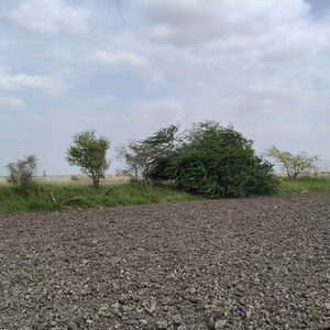 Plot Area in  Land at Pali Road – for Sale