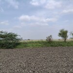 57 Acre Land in Pali Road