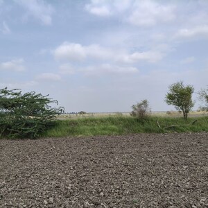  Land For Sale in Pali Road