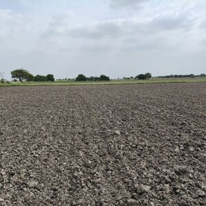 Plot Area in  Land at Pali Road – for Sale